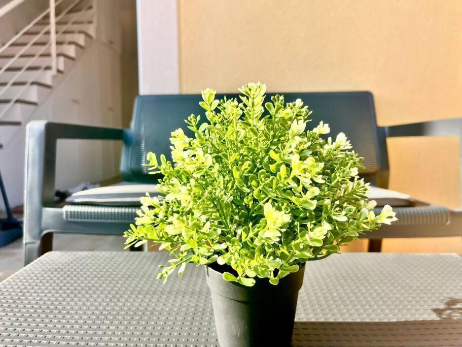 La Casa De Las Flores コスタ・デ・アンティグア エクステリア 写真